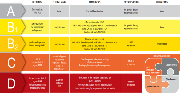 updates-on-treating-congestive-heart-failure-part-2-guidelines-for